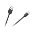 Nešiojamas LED prožektorius 2XCOB