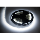 LED juosta, šaltai balta, 60x5050SMD/m, 12V, Rebel, 25m, 25000 x 9.5 x 4 mm