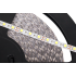 LED juosta, šaltai balta, 60x5050SMD/m, 12V, Rebel, 25m, 25000 x 9.5 x 4 mm