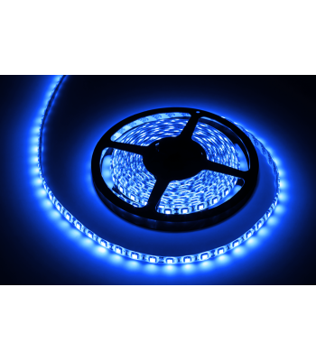 Mėlyna vandeniui atspari LED juosta, 12 V, Rebel (300x5050), 5 m