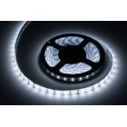 LED juosta Rebel, šaltai balta, atspari vandeniui, 12 V, 5 m (300 x 5630)
