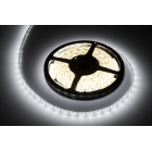 LED juosta, šaltai balta, atspari vandeniui, Rebel, 5m (300x5050 SMD), 12V