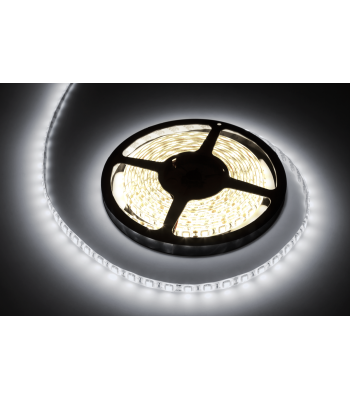 LED juosta, šaltai balta, atspari vandeniui, Rebel, 5m (300x5050 SMD), 12V