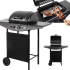 Teesa BBQ 2000 dujinis grilis, 2 degikliai