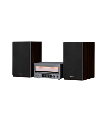 Kruger&Matz HiFi mini sistema su A klasės stiprintuvu, CD, USB, Bluetooth, DAB+ ir FM radiju KM1995