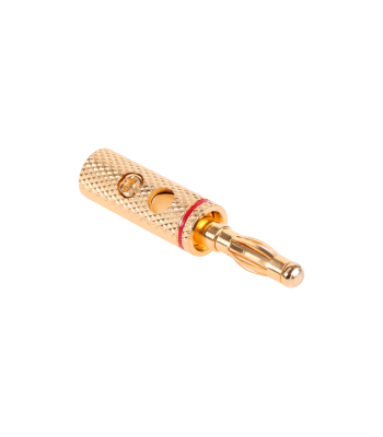 Auksinis bananinis kištukas (juodas/raudonas) SS2-2136