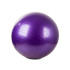 Reabilitacinis gimnastikos kamuolys su pompa, violetinis, 65 cm