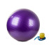 Reabilitacinis gimnastikos kamuolys su pompa, violetinis, 65 cm