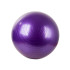 Reabilitacinis gimnastikos kamuolys su pompa, violetinis, 65 cm