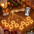 Šiltai baltos šviesos led užuolaida su pulteliu ir laikmačiu, 300 diodų, 26017_BC, 3x3m