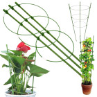 Žiedinė atrama augalams ir gėlėms, 60 cm
