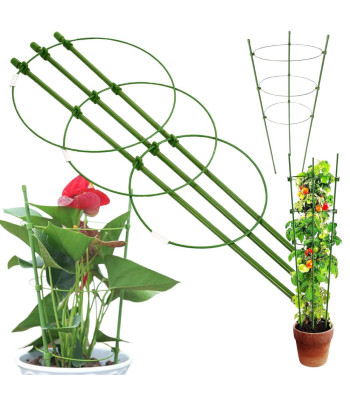Žiedinė atrama augalams ir gėlėms, 60 cm