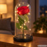 Amžina rožė po stikliniu gaubtu su LED apšvietimu ir dovanų dėžute, 21 × 11 cm