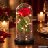 Amžina rožė po stikliniu gaubtu su LED apšvietimu ir dovanų dėžute, 21 × 11 cm