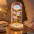 Amžina rožė po stikliniu gaubtu su led apšvietimu ir dovanų dėžute, 21 cm
