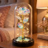Amžina rožė po stikliniu gaubtu su LED apšvietimu ir dovanų dėžute, 21 cm
