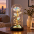 Amžina rožė po stikliniu gaubtu su LED apšvietimu ir dovanų dėžute, 21 cm