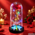 Amžina raudonai auksinė rožė po stikliniu gaubtu su įvairiaspalviu led rgb apšvietimu, 21 cm