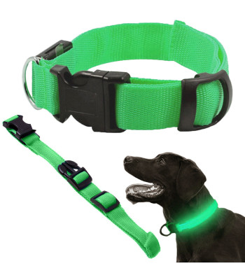Šviečiantis LED antkaklis šunims ir katėms, žalias, 36–59 cm