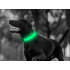 Šviečiantis LED antkaklis šunims ir katėms, žalias, 36–59 cm