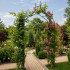 Metalinė sodo pergola – arka vijokliniams augalams, 265 cm
