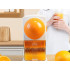 Rankinė citrusinių vaisių sulčiaspaudė, 500 ml