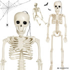 Pakabinamas judinamų galūnių skeletas Helovinui, 40 cm