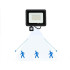 LED lauko prožektorius su judesio ir prieblandos jutikliais, 10 W, 6000 K, IP66