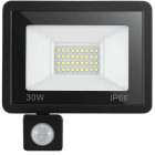Lauko LED prožektorius su judesio ir prieblandos jutikliais, 30 W, 6000 K, IP66