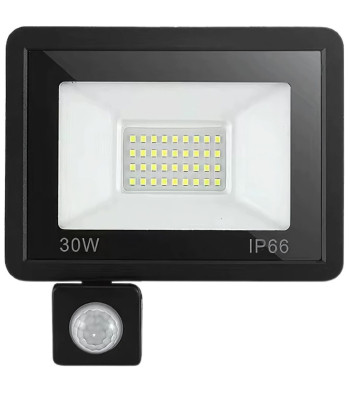 Lauko LED prožektorius su judesio ir prieblandos jutikliais, 30 W, 6000 K, IP66