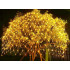 LED šviečianti tinklinė užuolaida, 100 LED, šiltai balta, skirta laukui, 1 × 2 m