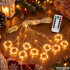 LED šviesos užuolaida su pulteliu, USB, šiltai balta, 300 LED, 3 m