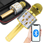 Belaidis karaoke mikrofonas su Bluetooth garsiakalbiu ir dėklu, auksinis, 22 cm