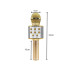 Belaidis karaoke mikrofonas su Bluetooth garsiakalbiu ir dėklu, auksinis, 22 cm