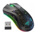 Belaidė žaidimų pelė su optiniu jutikliu ir RGB apšvietimu, 2,4 GHz