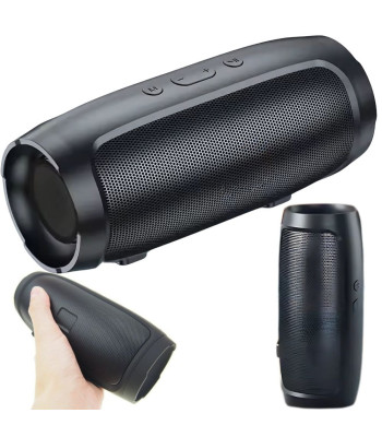 Belaidis nešiojamasis Bluetooth garsiakalbis su FM radiju, USB ir microSD, Charge Mini 3+