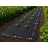 Mulčiavimo agrotekstilė DIVODV nuo piktžolių, juoda, 50 g/m², 1x20m