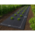 Juoda mulčiavimo agrodanga nuo piktžolių DIVODV, 50 g/m², 1,5 m x 10 m
