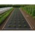 DIVODV juoda mulčiavimo agrodanga 50 g/m², 1,5 m × 50 m