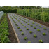 DIVODV juoda mulčiavimo agrodanga 50 g/m², 1,5 m × 50 m