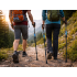Trekkingo ir šiaurietiškojo ėjimo lazdos VERK GROUP su antgaliais ir dėklu, 62–137 cm