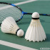Plunksniniai badmintono kamuoliukai, 3 vnt., balti, 8 × 6 cm