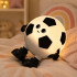 Silikoninė LED naktinė lemputė „Futbolo kamuolys“, 3 švietimo režimai, 12 × 13 cm