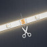 RGB IC LED neoninė juosta su Bluetooth, programėle ir nuotolinio valdymo pulteliu, 10 m