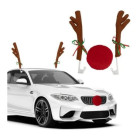 Elnio dekoracija automobiliui (40)