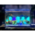 Mėlyni fluorescenciniai dekoratyviniai akmenukai 100 vnt., apie 2 cm