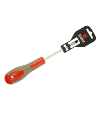 Magnetinis plokščias atsuktuvas CV, 6 x 100MM