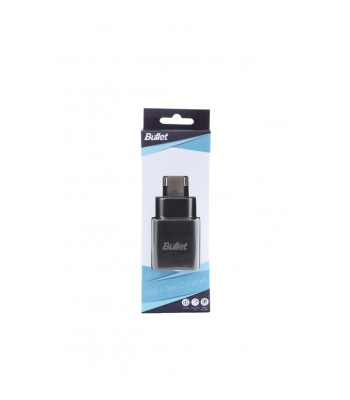 Univ. kelioninis įkroviklis USB + Type C