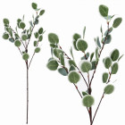 Gałązka eukaliptusa - zielona - 90 cm