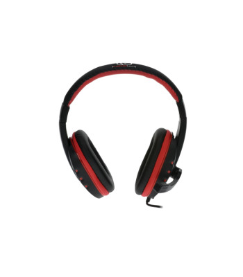 Rebeltec ausinės ROHAN su mikrofonu, 2 x lizdas 3,5mm